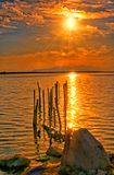 Salton Sea