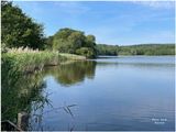 Etang du du haut