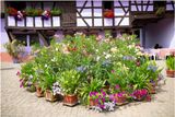 Imbsheim 22.Jpg