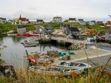 IMG_0309_LR