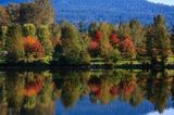 Reflection - Lafarge Lake