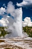 Old Faithful Geyser