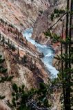Yellowstone River