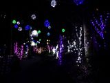 IMG_2785_LR