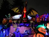 IMG_3641_LR