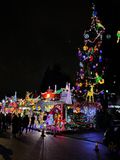 IMG_3769_LR