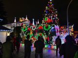 IMG_3772_LR