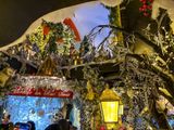 IMG_3782_LR