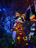 IMG_3826_LR