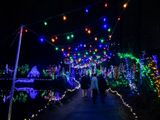IMG_3847_LR