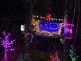 IMG_3856_LR