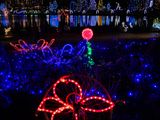 IMG_3901_LR