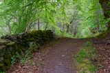 IMG_3712_DxO.jpg