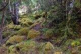 IMG_3740_DxO.jpg