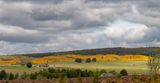 IMG_3759_DxO.jpg