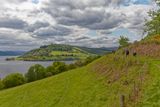 IMG_3777_DxO.jpg