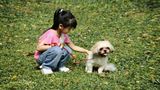 Her Friend - Singapore