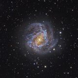 M83 The Southern Pinwheel Galaxy