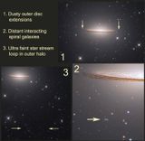 Stellar stream, interacting galaxies and dusty extensions
