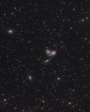 Galaxies in Pavo