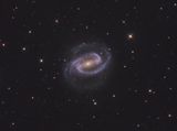 NGC 1300 - The Sprinkler Galaxy