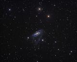 NGC 3981 The Disintegrating Galaxy (full frame)