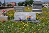 Wildflowers and Gravestones