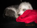DSCN0652.JPG