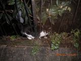 DSCN0656.JPG