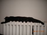 DSCN0662.JPG