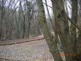 DSCN0738.JPG