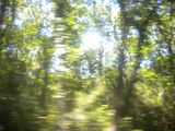 DSCN0905.JPG