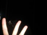 DSCN1319.JPG