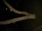 DSCN1353.JPG