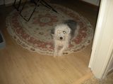 DSCN1520.JPG