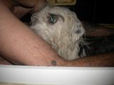 DSCN1641.JPG
