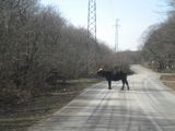 DSCN2239.JPG