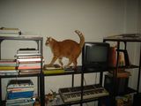 DSC02520.JPG