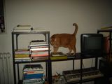 DSC02521.JPG
