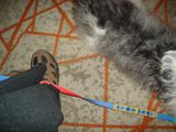 DSC02821.JPG
