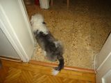 DSC02983.JPG