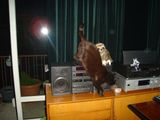 DSC03013.JPG