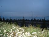 DSC03184.JPG