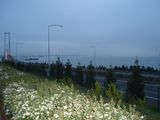 DSC03186.JPG