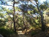 DSC03339.JPG