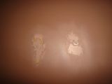 DSC03365.JPG