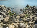 DSC03382.JPG