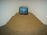 DSC03428.JPG