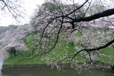 DSCF0130.JPG