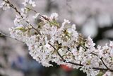 DSCF0176.JPG
